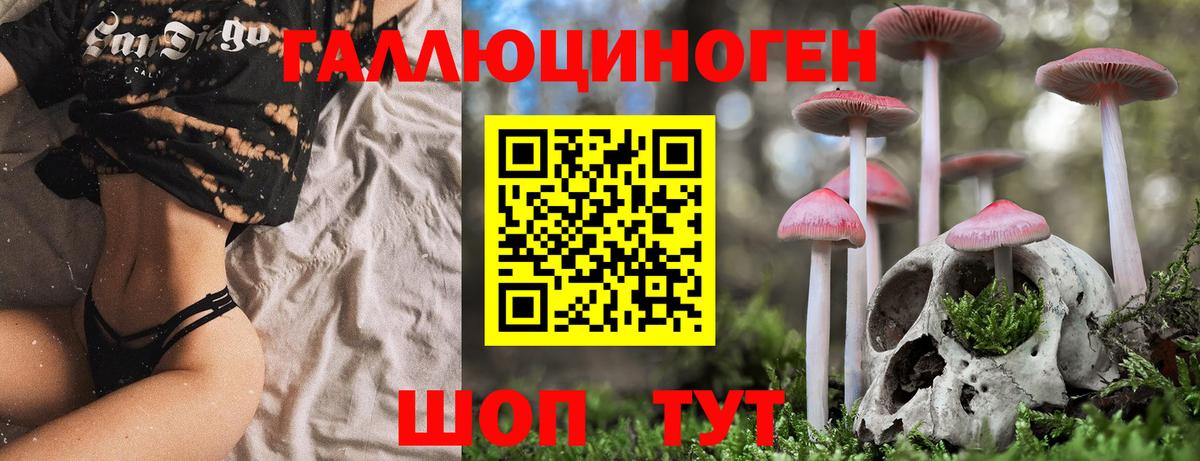 Псилоцибиновые грибы Magic Shrooms Кунгур