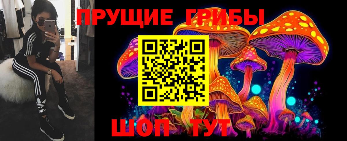 Галлюциногенные грибы мицелий  Вход с VPN  Кунгур 